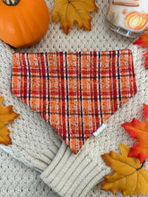 Load image into Gallery viewer, Cozy Autumn Bandana