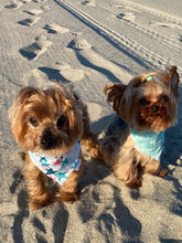 Load image into Gallery viewer, Toretto and Coco modeling matching beach-themed dog bandanas