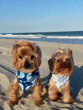 Load image into Gallery viewer, Toretto and Coco sitting together wearing reversible summer dog bandanas