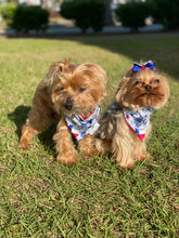 Load image into Gallery viewer, Toretto and Coco wearing matching bandanas 
