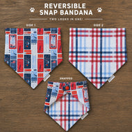 Reversible Liberty Lane dog bandana featuring Americana-inspired patterns