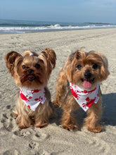 Load image into Gallery viewer, Toretto and Coco sitting together wearing reversible summer dog bandanas
