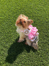 Load image into Gallery viewer, Iced Donuts
